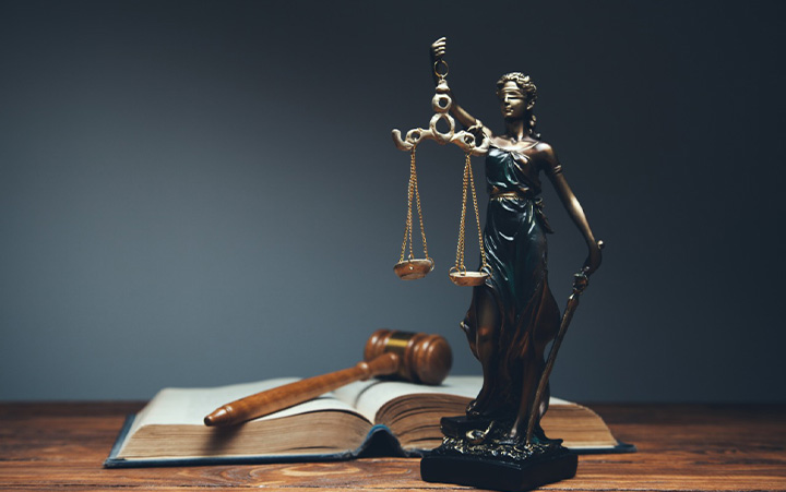 Deficiência e gênero  no direito brasileiro